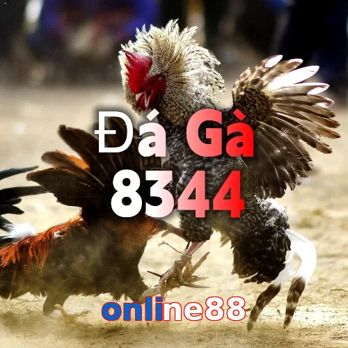 online88